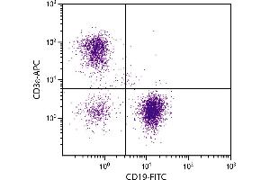 BALB/c mouse splenocytes were stained with Hamster Anti-Mouse CD3ε-APC. (CD3 epsilon antibody  (APC))