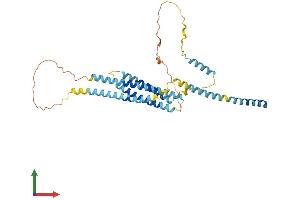 AlphaFold protein structure predicition of Mouse Recombinant Stx5 Protein, UniprotID Q8K1E0 (Syntaxin 5 Protein (STX5) (AA 1-355) (His tag))