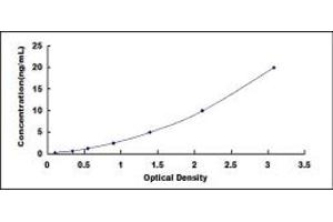 Typical standard curve (TIMP3 ELISA Kit)