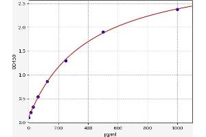 PYGB ELISA Kit