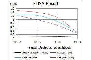 Black line: Control Antigen (100 ng), Purple line: Antigen(10 ng), Blue line: Antigen (50 ng), Red line: Antigen (100 ng), (MELK antibody  (AA 637-651))