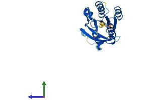 Protein Structure (PS) image for NFKB Inhibitor Interacting Ras-Like 1 (NKIRAS1) (AA 1-192) protein (His tag) (ABIN7559281)