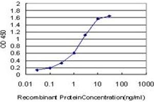 Detection limit for recombinant GST tagged BNIP3L is approximately 0. (BNIP3L/NIX antibody  (AA 43-130))