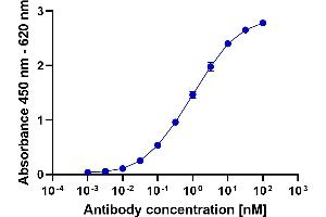 HA-tagged Protein was coated on an ELISA plate at 100 ng. (Recombinant Mouse anti-Rabbit IgG Antibody (HRP))
