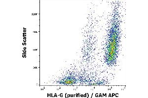 Flow cytometry surface staining pattern of HLA-G transfected LCL cells using anti-human HLA-G (01G) purified antibody (concentration in sample 16 μg/mL) GAM APC. (HLAG antibody)