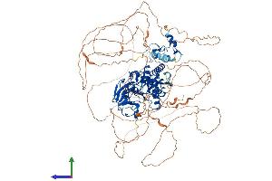 AlphaFold protein structure predicition of Mouse Recombinant Dclre1a Protein, UniprotID Q9JIC3 (SNM1 Protein (AA 1-1026) (His tag))