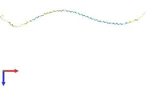 SPRR1B Protein (AA 1-153) (His tag)