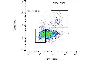 Flow cytometry analysis (surface staining) of human peripheral blood with anti-human CD38 (HIT2) FITC. (CD38 antibody  (FITC))