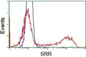 HEK293T cells transfected with either pCMV6-ENTRY SRR (RC210359) (Red) or empty vector control plasmid (Blue) were immunostained with anti-SRR mouse monoclonal (ABIN2453687), and then analyzed by flow cytometry. (SRR antibody)