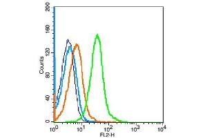 Mouse spleen cells probed with VEGFR1 Polyclonal Antibody, unconjugated  at 1:100 dilution for 30 minutes compared to control cells (blue) and isotype control (orange)