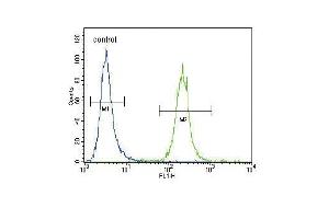 IREB2 Antibody (Center) (ABIN656586 and ABIN2845848) flow cytometric analysis of Hela cells (right histogram) compared to a negative control cell (left histogram). (IREB2 antibody  (AA 201-230))