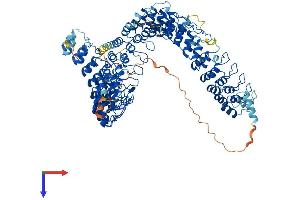 AlphaFold protein structure predicition of Mouse Recombinant Ankrd52 Protein, UniprotID Q8BTI7