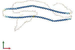 Protein Structure (PS) image for Syncoilin (Sync) (AA 1-482) protein (His tag) (ABIN7544174)