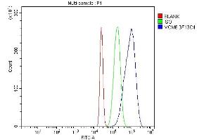 anti-Minichromosome Maintenance Complex Component 6 (MCM6) (AA 14-821) antibody