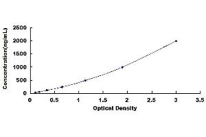 C1q ELISA Kit