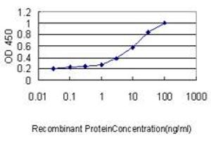 Detection limit for recombinant GST tagged GLMN is approximately 0. (GLMN antibody  (AA 1-594))