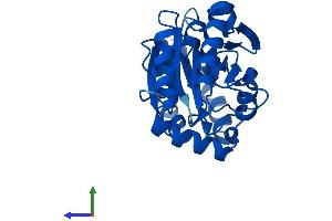 AlphaFold protein structure predicition of Mouse Recombinant Pmm2 Protein, UniprotID Q9Z2M7 (PMM2 Protein (AA 1-242) (His tag))