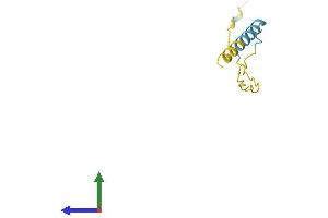 AlphaFold protein structure predicition of Human Recombinant SPANXN5 Protein, UniprotID Q5MJ07