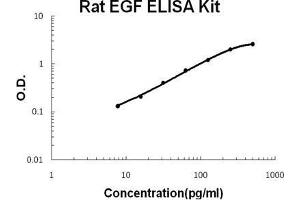 Rat EGF PicoKine ELISA Kit standard curve (EGF ELISA Kit)