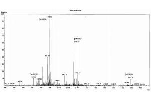 Image no. 1 for Orexin A (OXA) peptide (Ovalbumin) (ABIN5666311)