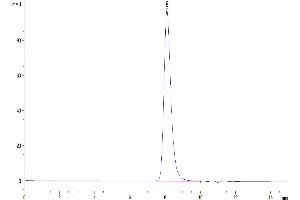 Size-exclusion chromatography-High Pressure Liquid Chromatography (SEC-HPLC) image for Folate Receptor 1 (Adult) (FOLR1) (AA 25-233) protein (His-Avi Tag,Biotin) (ABIN7274668)