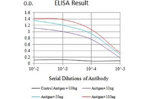 Black line: Control Antigen (100 ng),Purple line: Antigen (10 ng), Blue line: Antigen (50 ng), Red line:Antigen (100 ng) (CD137 antibody  (AA 24-186))