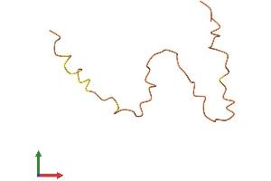 AlphaFold protein structure predicition of Human Recombinant KRTAP20-2 Protein, UniprotID Q3LI61 (KRTAP20-2 Protein (AA 1-65) (Fc Tag))