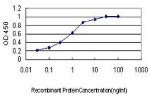 Detection limit for recombinant GST tagged TIAM2 is approximately 0. (TIAM2 antibody  (AA 527-624))