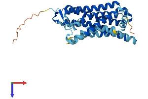 AlphaFold protein structure predicition of Human Recombinant OR10J1 Protein, UniprotID P30954 (OR10J1 Protein (AA 1-320) (His tag))