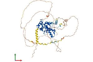 AlphaFold protein structure predicition of Mouse Recombinant Nfia Protein, UniprotID Q02780 (NFIA Protein (AA 1-532) (His tag))