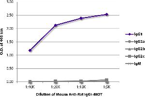 ELISA plate was coated with purified rat IgG1, IgG2a, IgG2b, IgG2c, and IgM. (Mouse anti-Rat IgG1 (Fc Region) Antibody (Biotin))