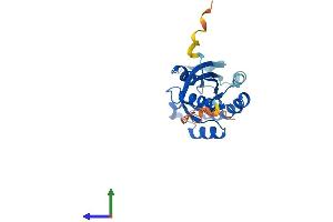 AlphaFold protein structure predicition of Human Recombinant RAB43 Protein, UniprotID Q86YS6