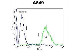 LM3 Antibody (C-term) (ABIN655704 and ABIN2845155) flow cytometric analysis of A549 cells (right histogram) comred to a negative control cell (left histogram). (PALM3 antibody  (C-Term))