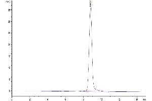 The purity of Human TFF1 is greater than 95 % as determined by SEC-HPLC.