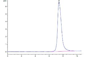 PLVAP Protein (AA 49-442) (His tag)