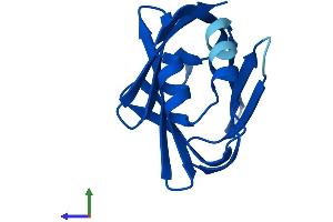 AlphaFold protein structure predicition of Human Recombinant FABP9 Protein, UniprotID Q0Z7S8 (FABP9 Protein (AA 1-132) (His tag))