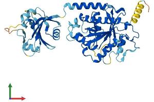 AlphaFold protein structure predicition of Human Recombinant IFI44 Protein, UniprotID Q8TCB0