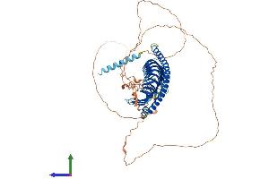 AlphaFold protein structure predicition of Human Recombinant JPH1 Protein, UniprotID Q9HDC5 (Junctophilin 1 Protein (JPH1) (AA 1-661) (His tag))