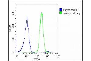 Overlay histogram showing U-2 OS cells stained with (ABIN655487 and ABIN2845009)(green line). (LMTK3 antibody  (N-Term))