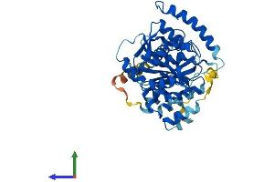 Protein Structure (PS) image for UDP-GlcNAc:betaGal beta-1,3-N-Acetylglucosaminyltransferase 1 (B3GNT1) (AA 1-415) protein (His tag) (ABIN7558968)
