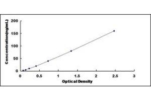 Typical standard curve (TNNI1 ELISA Kit)