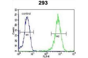 Flow Cytometry (FACS) image for anti-La Ribonucleoprotein Domain Family, Member 6 (LARP6) (AA 10-39), (N-Term) antibody (ABIN953137)