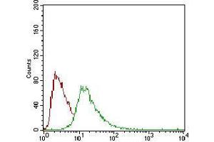 Flow cytometric analysis of HepG2 cells using CD93 mouse mAb (green) and negative control (red). (CD93 antibody  (AA 474-535))