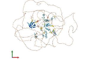 AlphaFold protein structure predicition of Human Recombinant ZFPM2 Protein, UniprotID Q8WW38 (ZFPM2 Protein (AA 1-1151) (His tag))