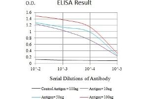 Black line: Control Antigen (100 ng),Purple line: Antigen (10 ng), Blue line: Antigen (50 ng), Red line:Antigen (100 ng) (NFKB2 antibody  (AA 712-900))