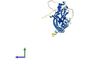 Protein Structure (PS) image for A Kinase (PRKA) Anchor Protein 7 (AKAP7) (AA 1-314) protein (His tag) (ABIN7558223)