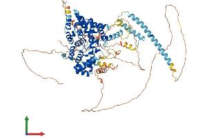 AlphaFold protein structure predicition of Human Recombinant TBC1D5 Protein, UniprotID Q92609 (TBC1D5 Protein (AA 1-795) (His tag))