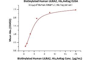 Immobilized Human ANGPTL7, His Tag (ABIN5526615,ABIN6809995) at 5 μg/mL (100 μL/well) can bind Biotinylated Human LILRA2, His,Avitag (ABIN5955001,ABIN6253613) with a linear range of 0. (LILRA2 Protein (AA 24-449) (His tag,AVI tag,Biotin))