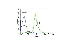 EHD3 Antibody (N-term) (ABIN652345 and ABIN2841577) flow cytometric analysis of HepG2 cells (right histogram) compared to a negative control cell (left histogram).