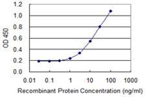 Detection limit for recombinant GST tagged SNX8 is 0. (SNX8 antibody  (AA 1-465))